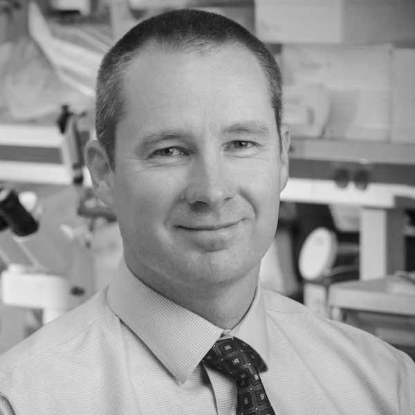 Cameron Turtle, MBBS, PhD Precision BioSciences