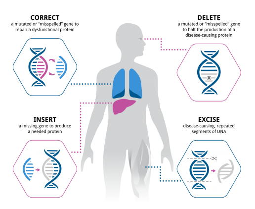 gene-therapy-precision-biosciences