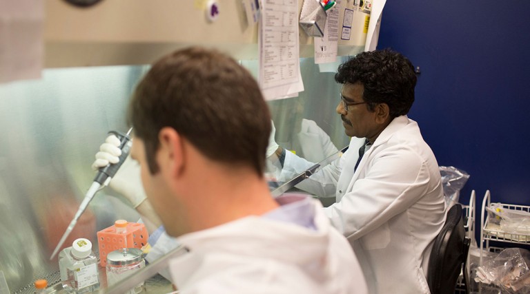 Careers - Precision BioSciences