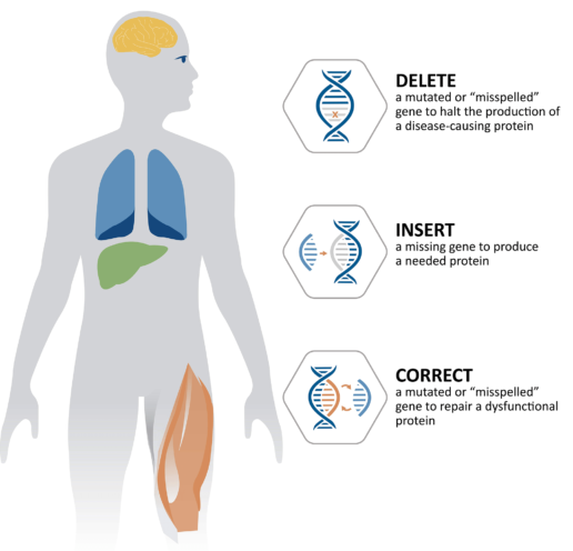Gene Therapy Illustration