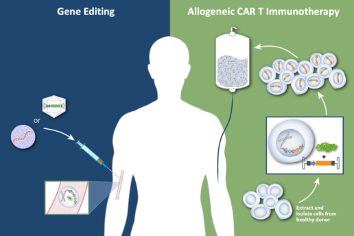 Gene Therapy vs. Cancer Immunotherapy Chart