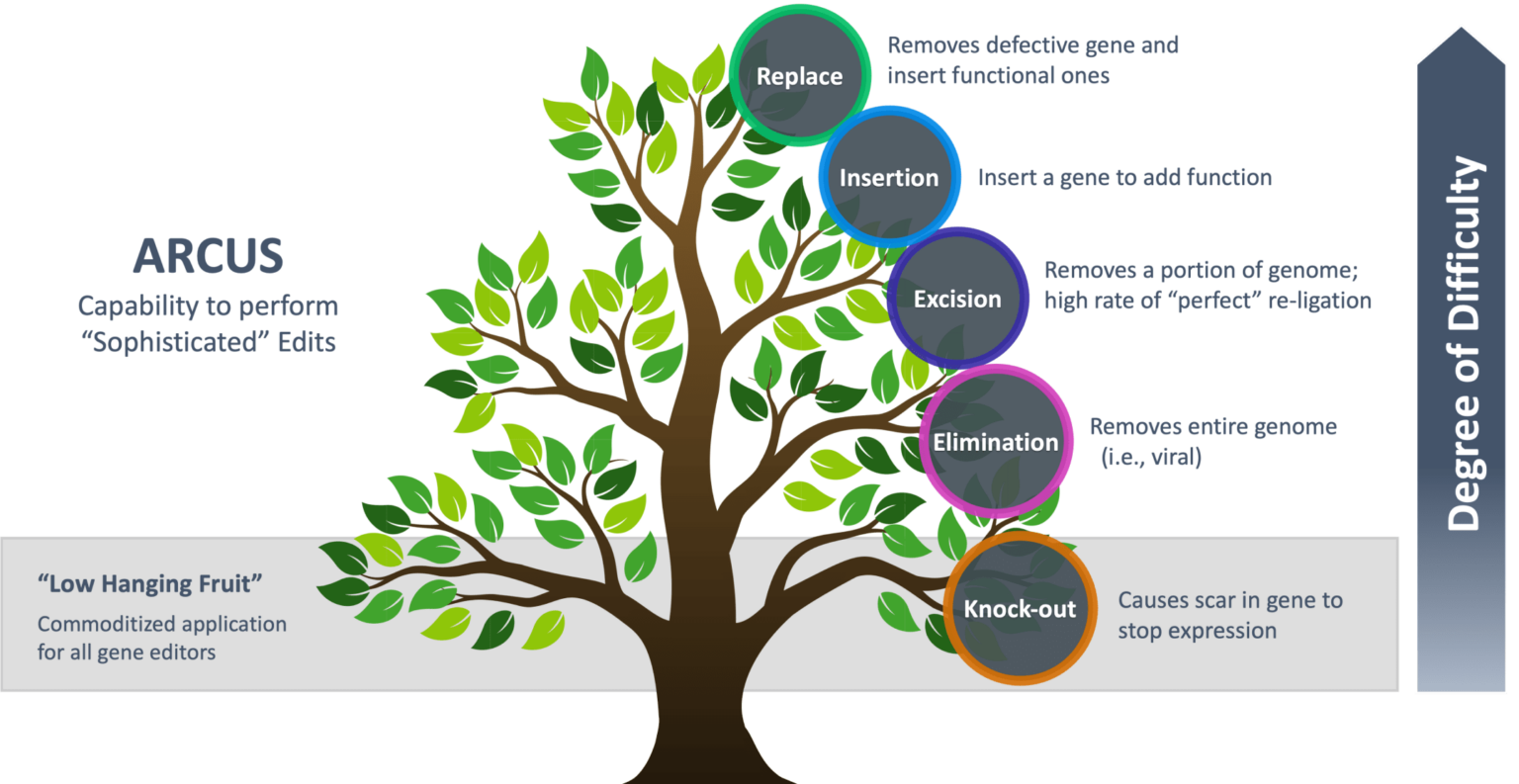 ARCUS Genome Editing - Precision BioSciences